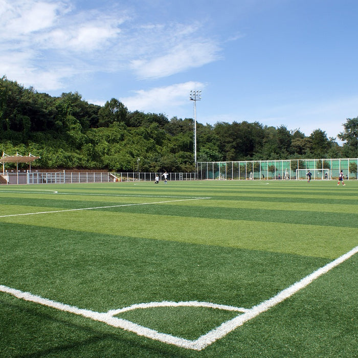 Blog #002: The Rise of Artificial Turf in Sports: A Global Perspective