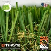 EVERGLADE FESCUE PRO