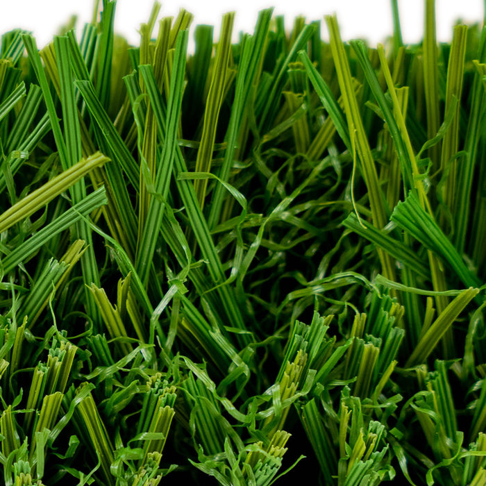 MALIBU FESCUE GREEN THATCH